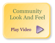 Play Look and Feel Video